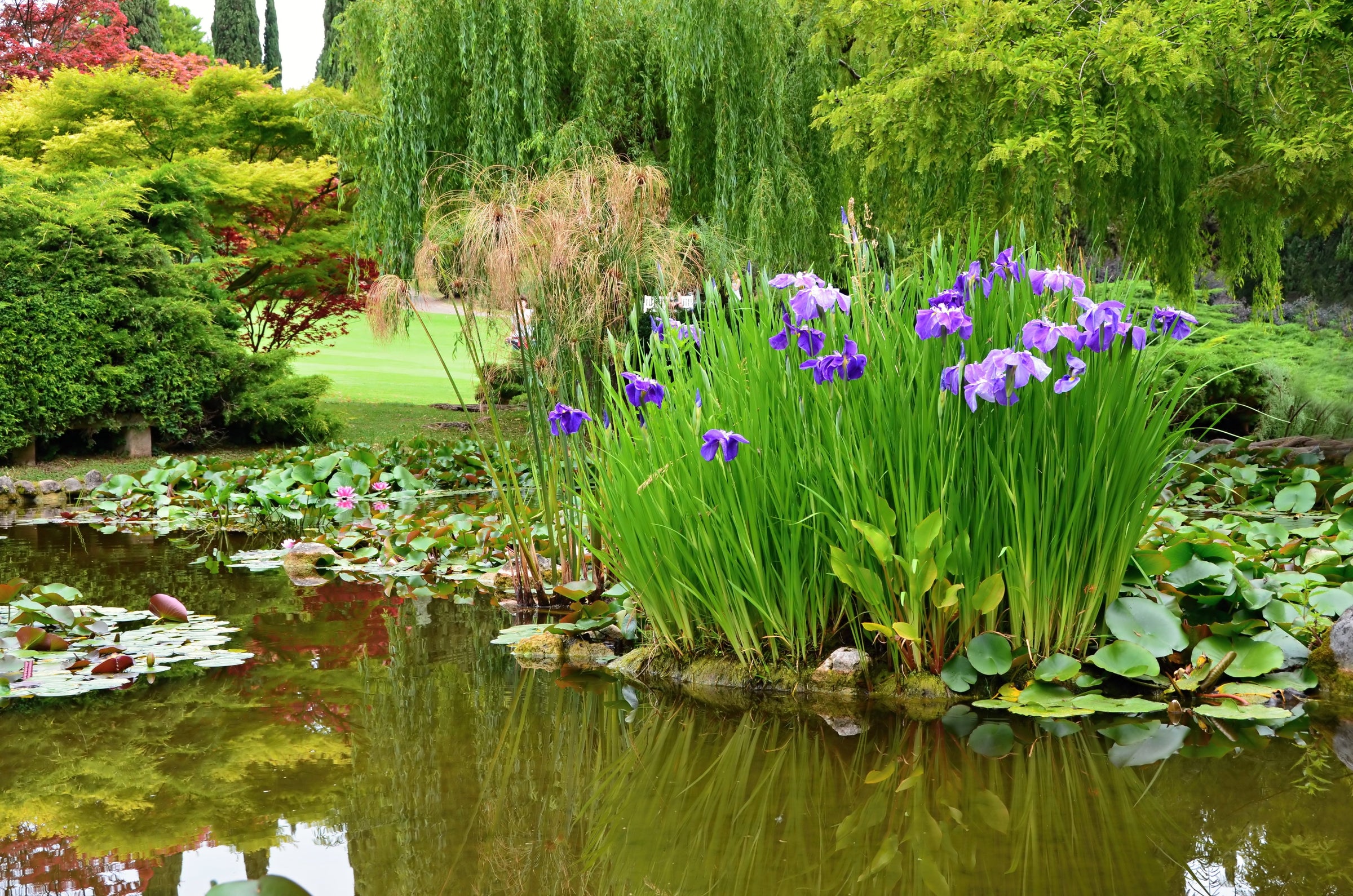 Pond Additives