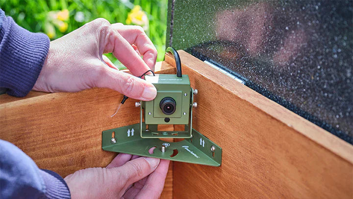 Hedgehog House Cameras