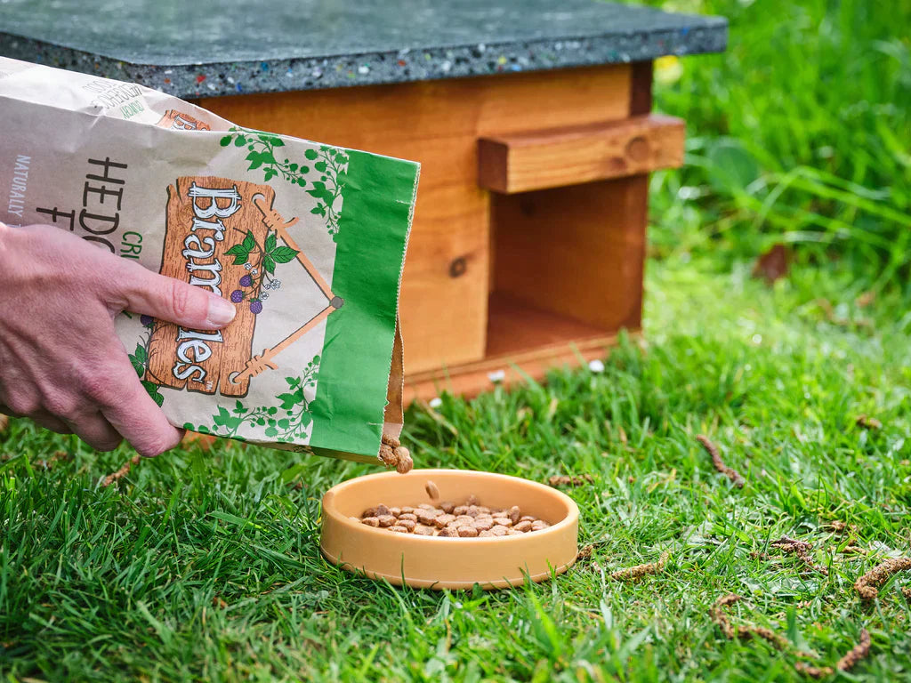 Hedgehog Feeders