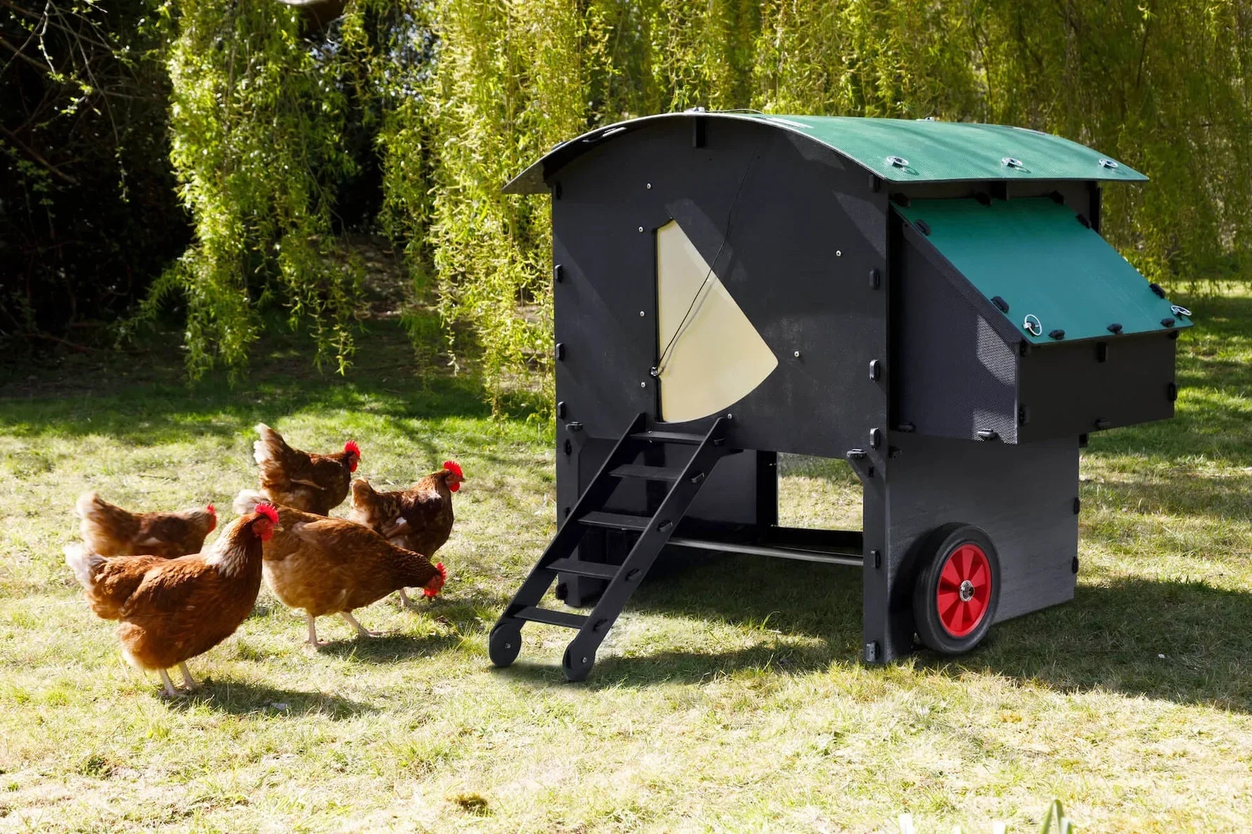 Chicken Coops