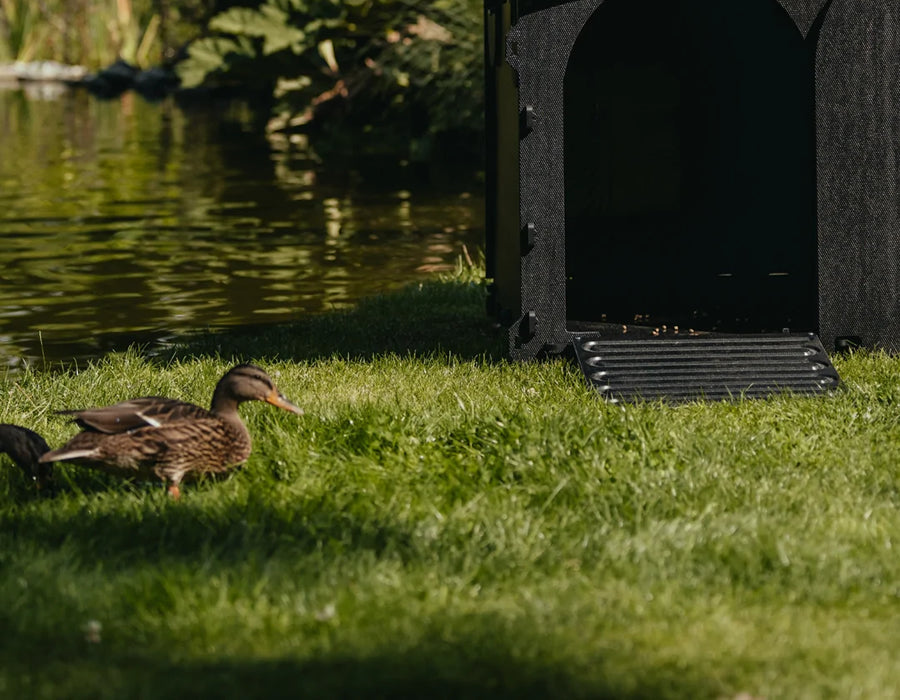 Duck Houses