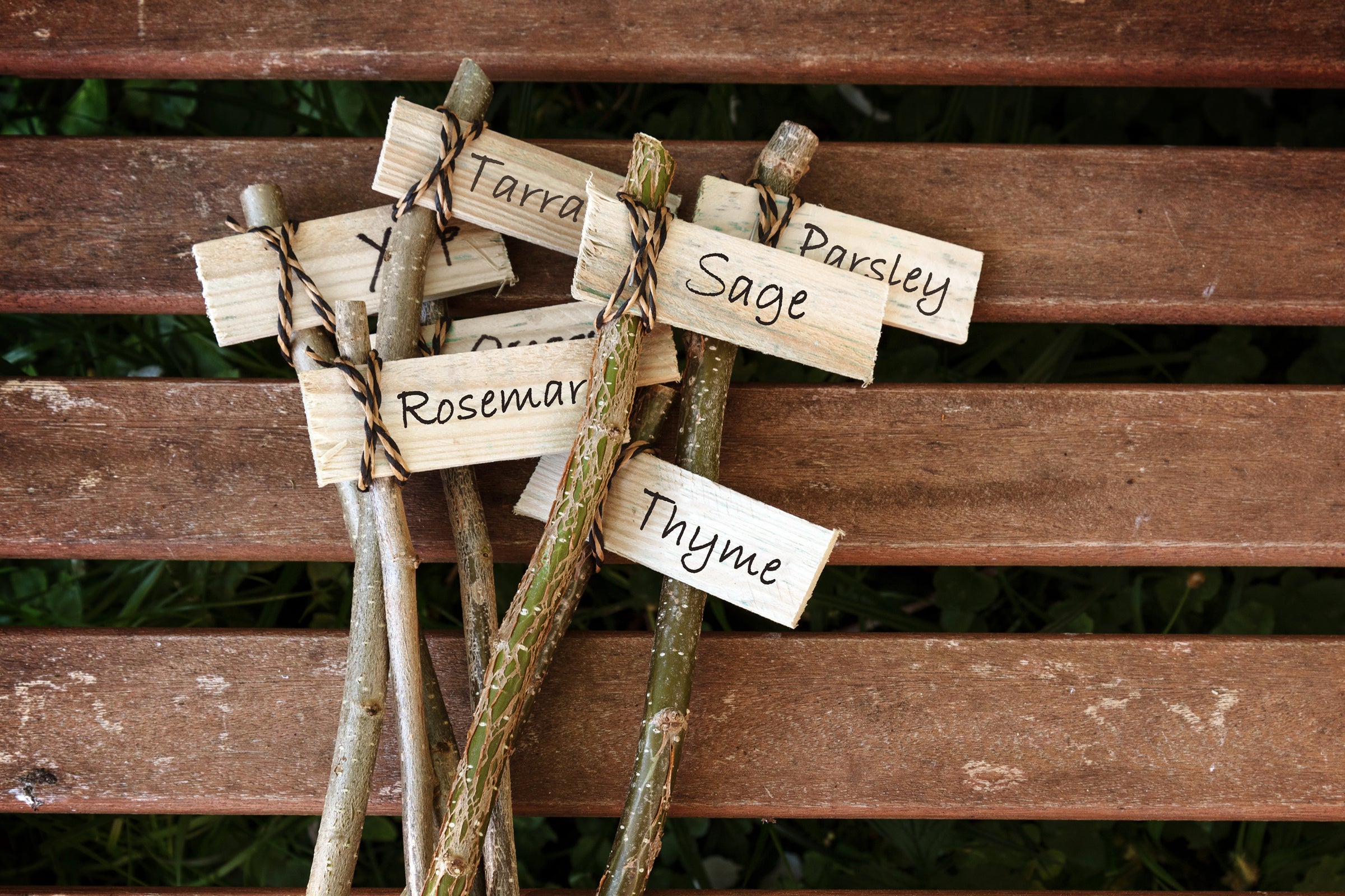 Plant Labels