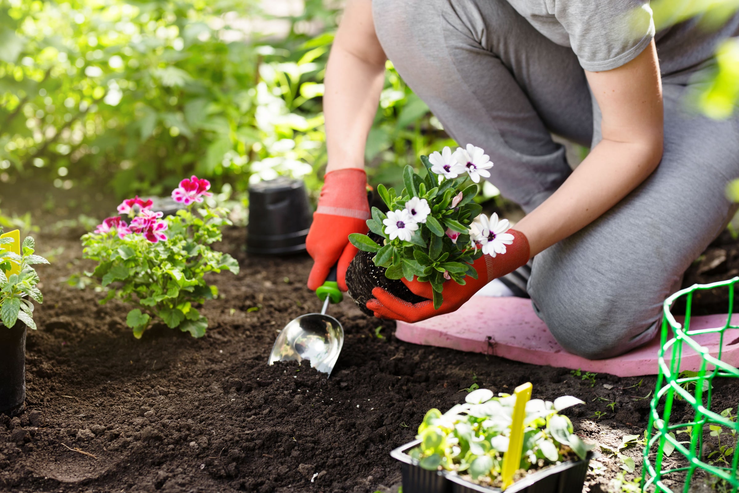 Garden Trowels