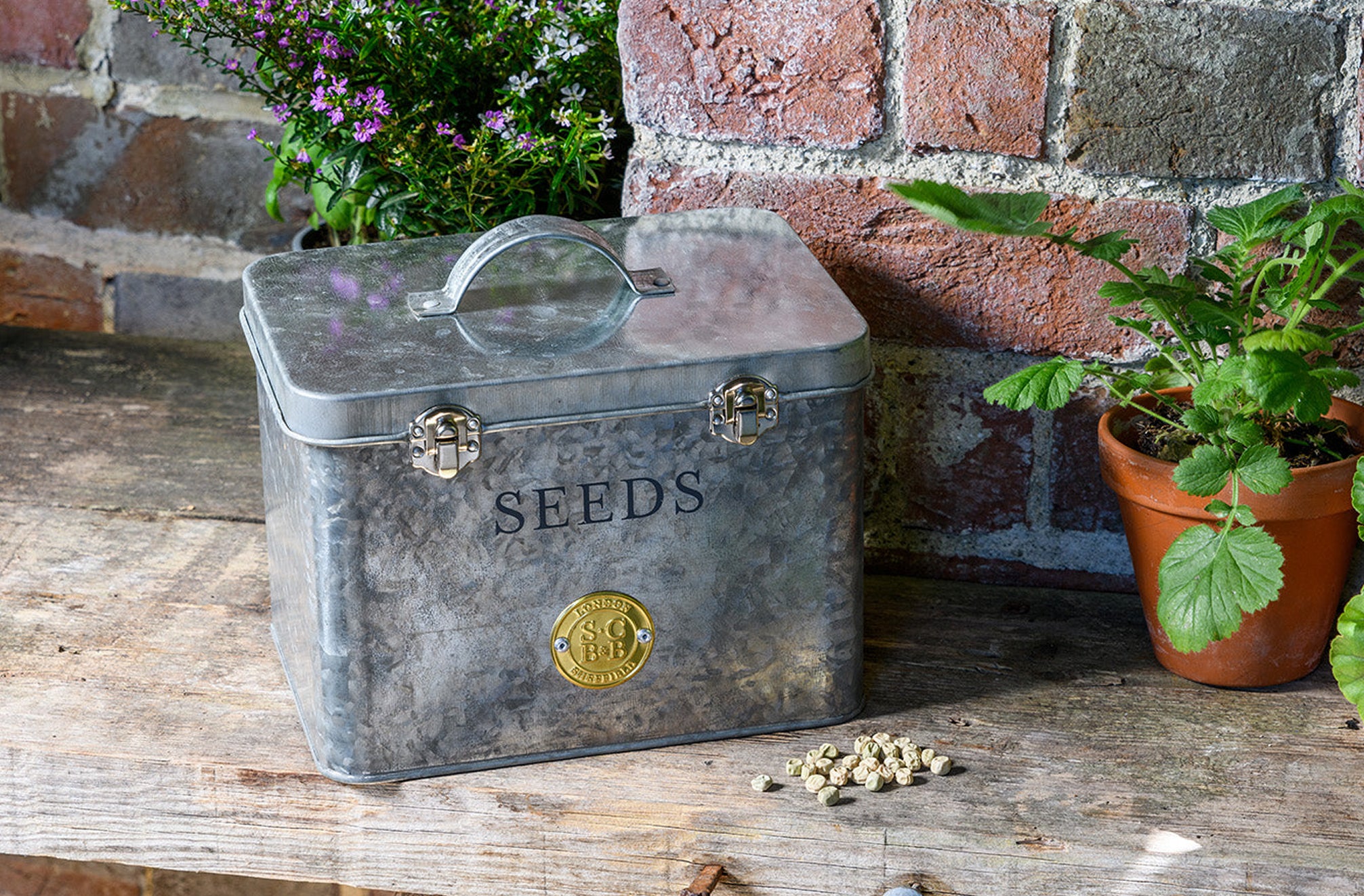 Seed Storage Boxes