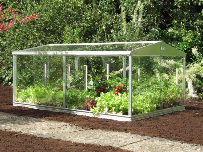 Access 6' X 4' Cold Frame