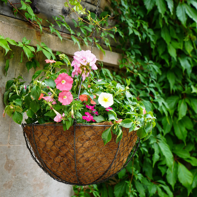 buy outdoor hanging plants online Ivyline Outdoor Hanging Wired Netted Basket