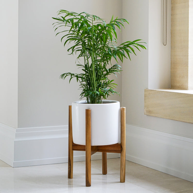 buy plant pots online uk Ivyline Anzio Planter with Wooden Stand