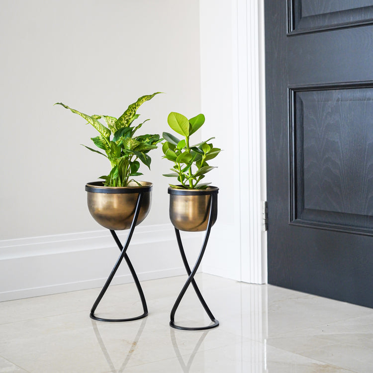 brass plant pot on stand Ivyline Indoor Kensington Brass Round Planter on Stand