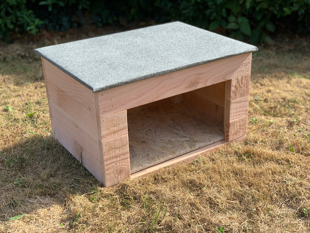 Outside Cat House