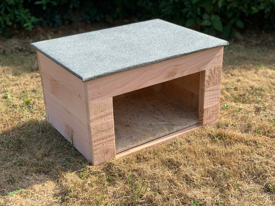 Outside Cat House