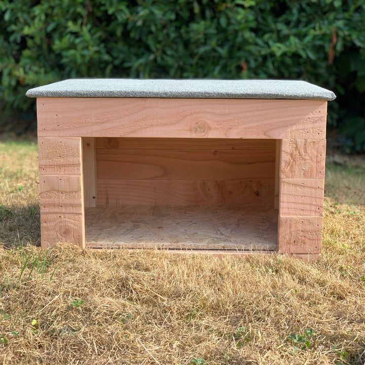 Outside Cat House