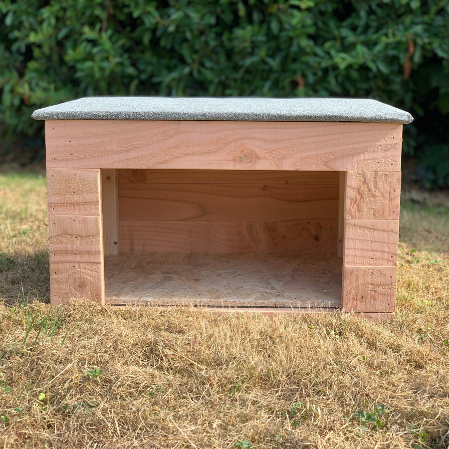 Outside Cat House