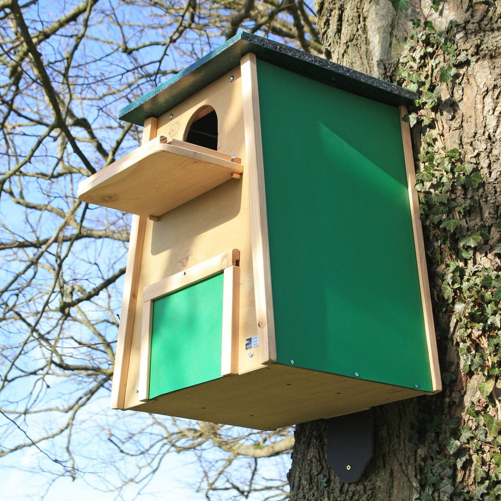 Wildlife World Flat pack Barn Owl Nest Box
