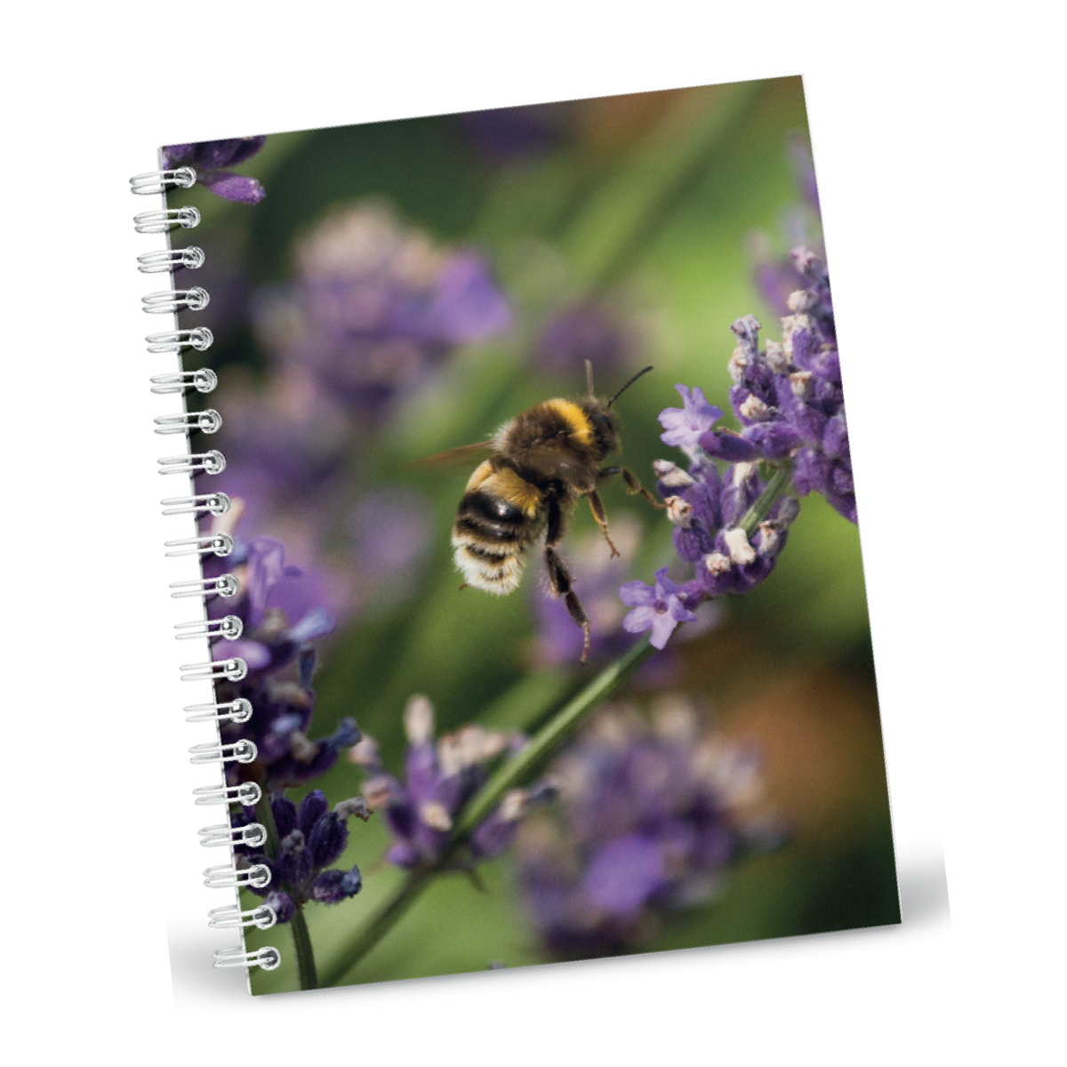 Bumblebee on Lavender A5 Notebook Garden Wildlife