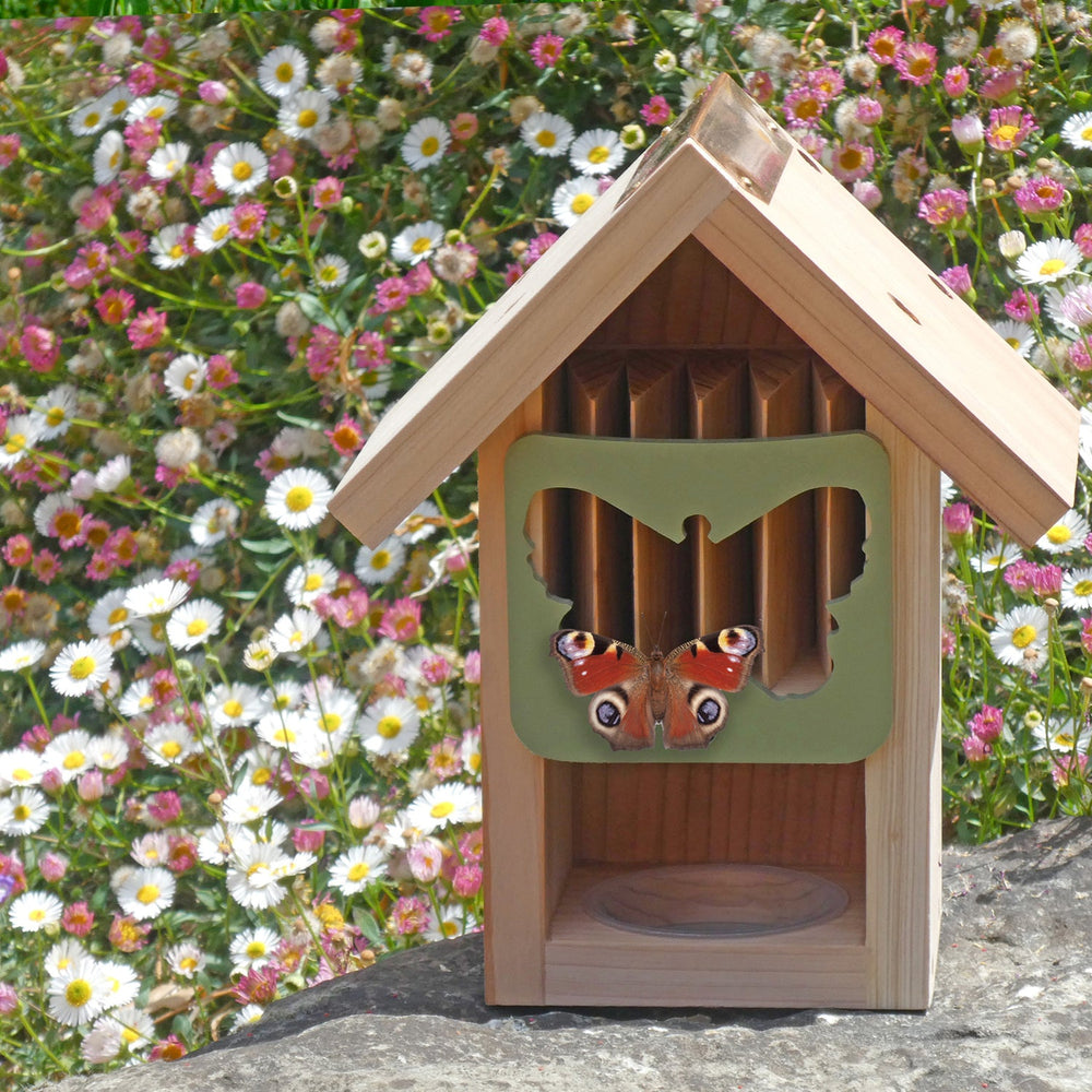 Wildlife World Butterfly Barn