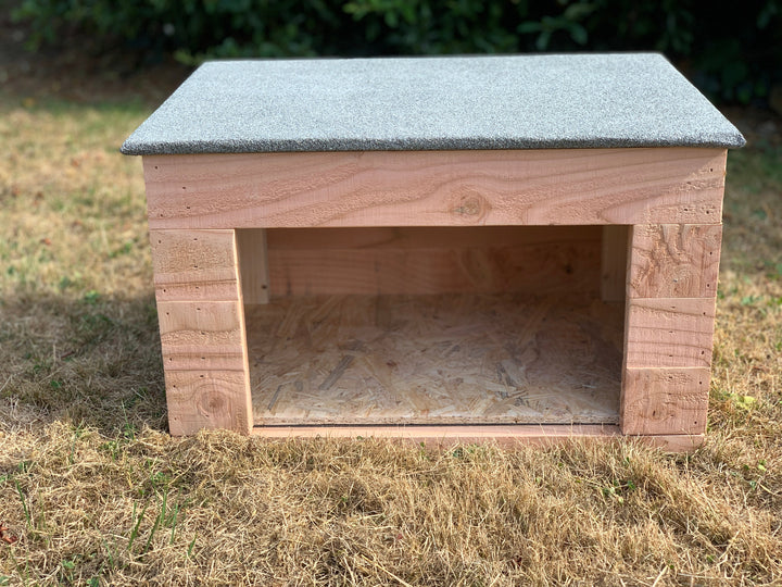 Outside Cat House