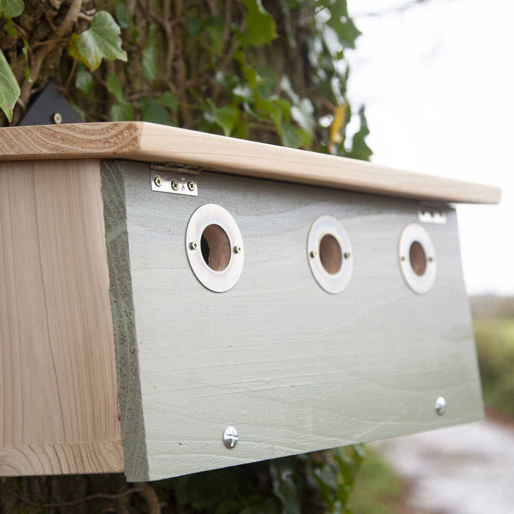 Wildlife World Conservation Sparrow Nest Box