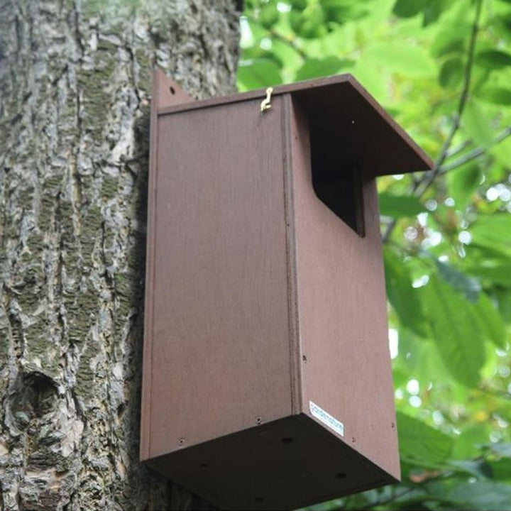 Gardenature Little Owl Box