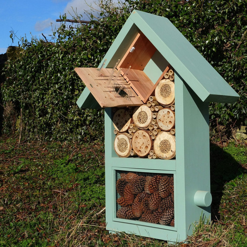 Wildlife World Giant Bee & Bug Biome