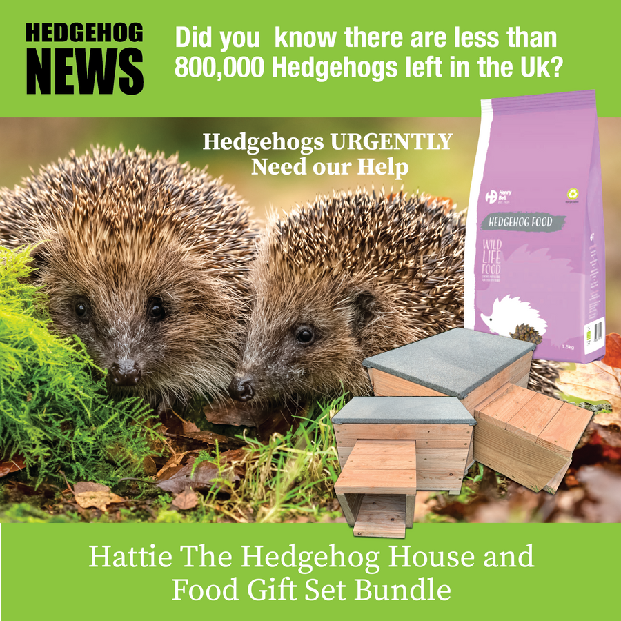 Hattie the Hedgehog House and Food Gift Set Bundle