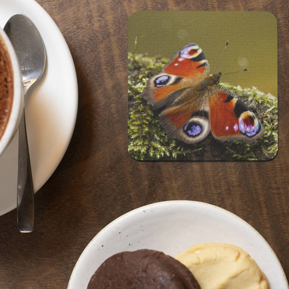 Peacock Butterfly Coaster
