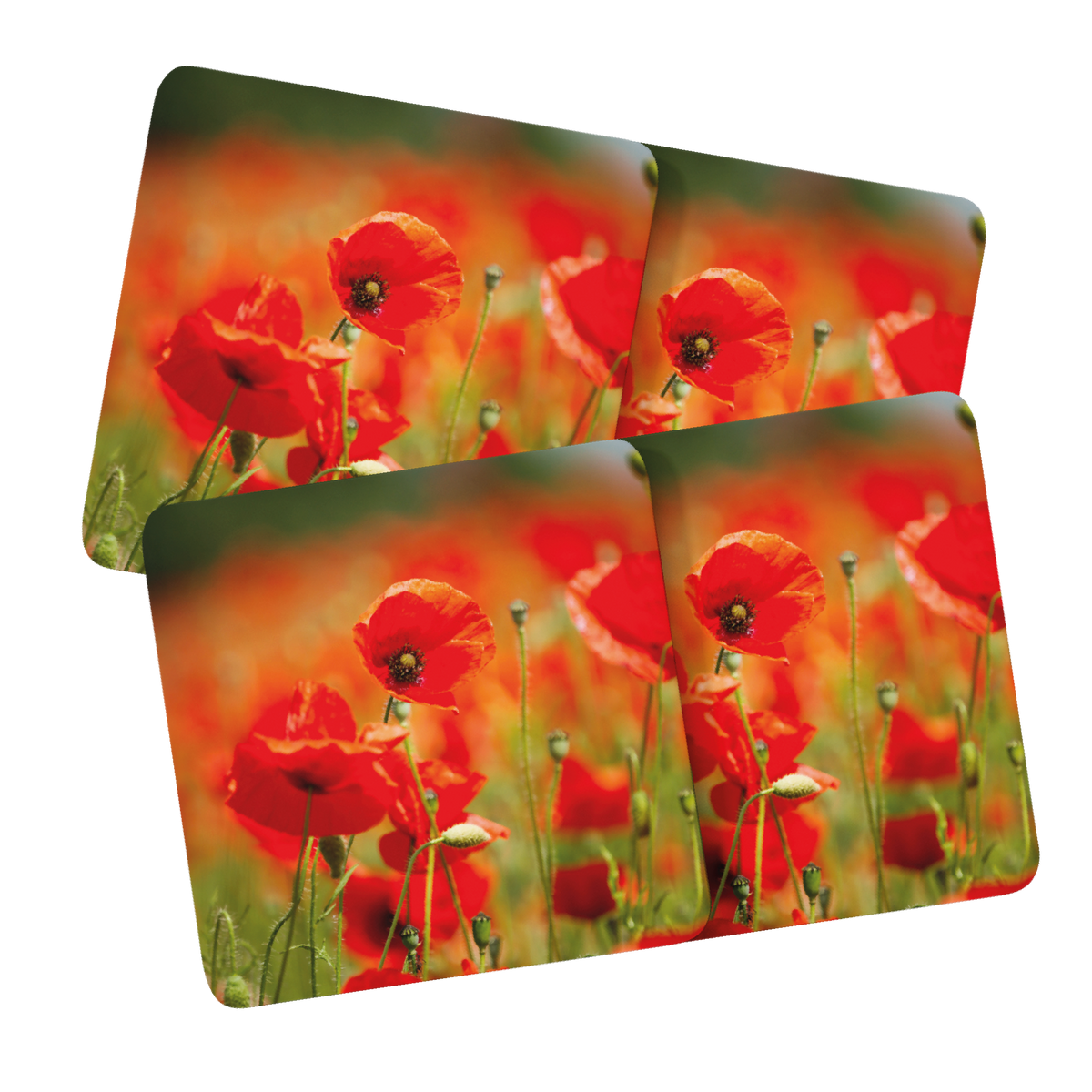 Field of Poppies Placemats – Garden Wildlife