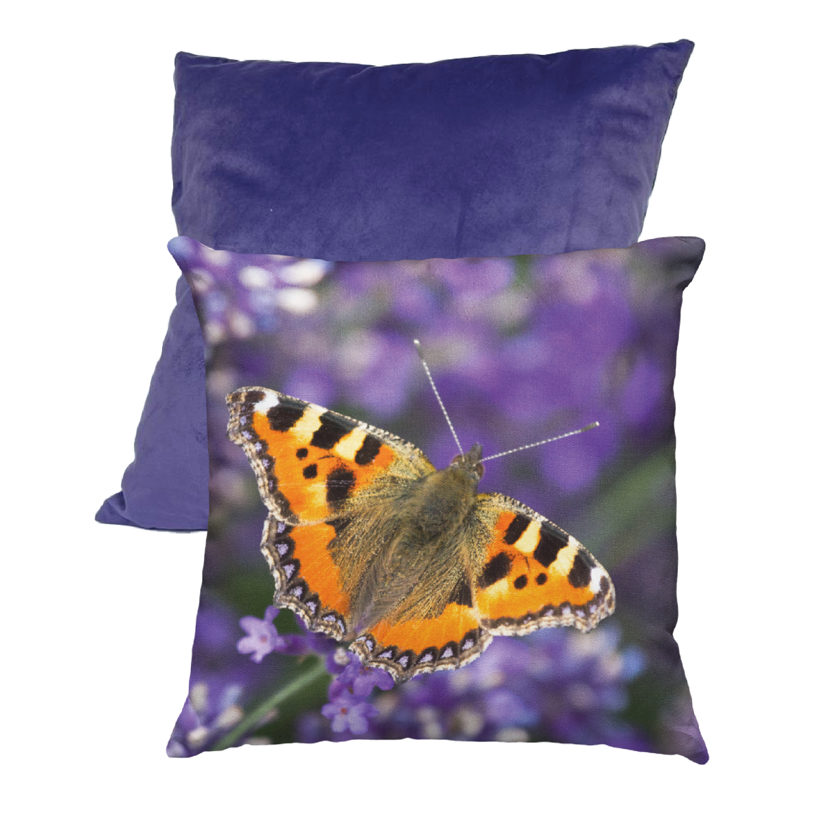 Tortoiseshell Butterly Cushion