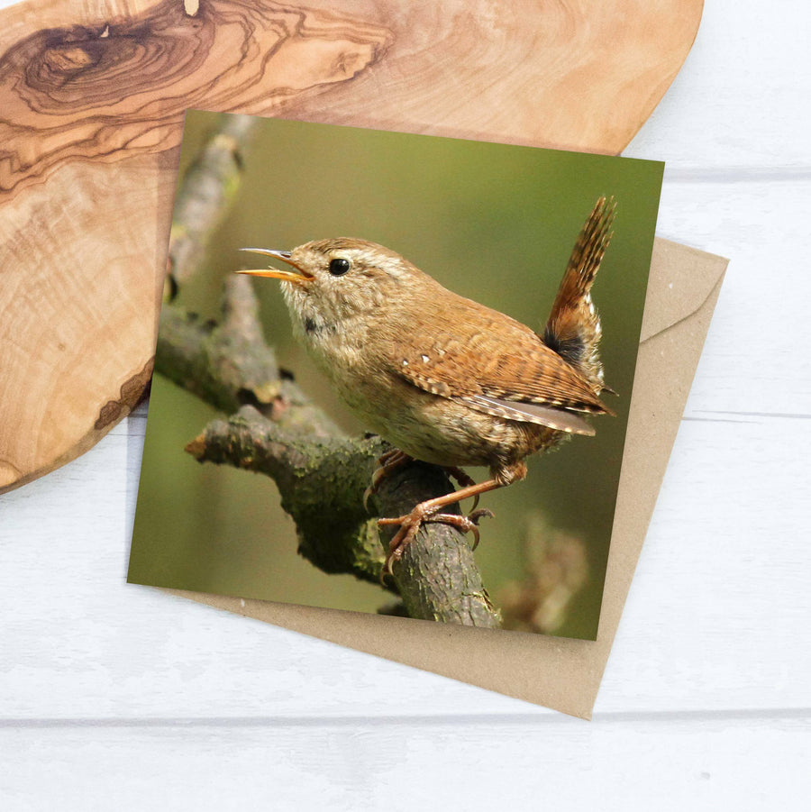Wren Greeting Card