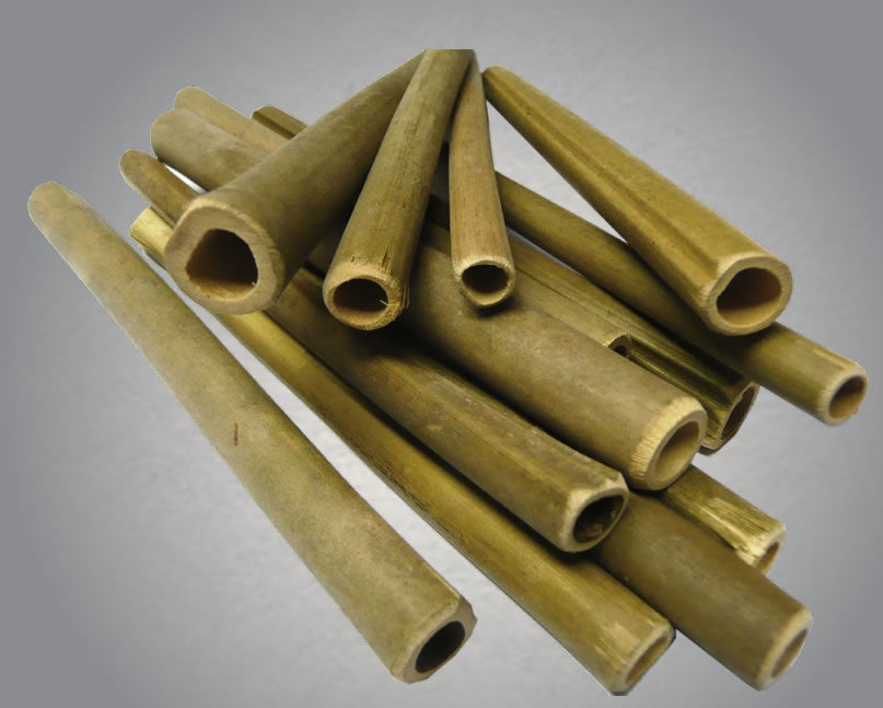 Wildlife World Bee Tubes Wooden Pack of 1