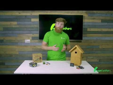 Green Feathers DIY Bird Box with Wired Camera Bundle