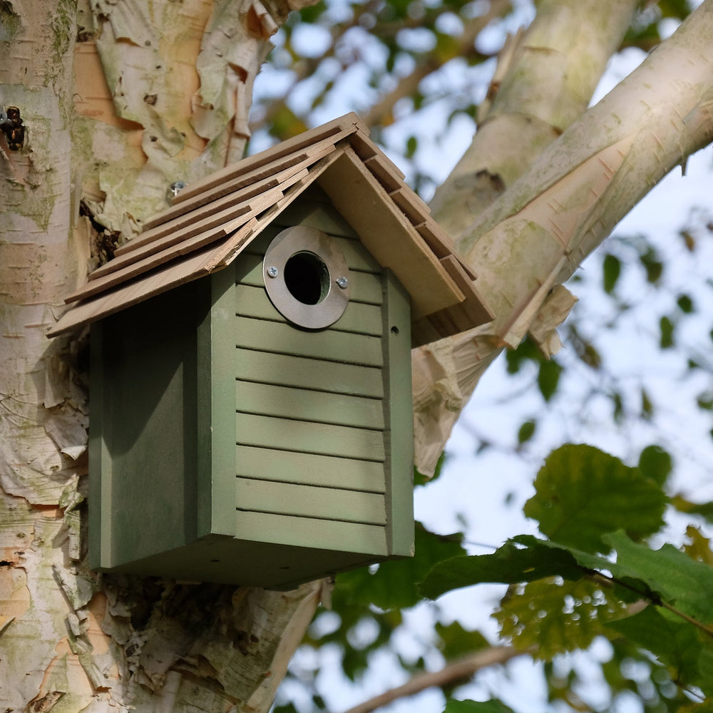 Wildlife World New Nest England Box