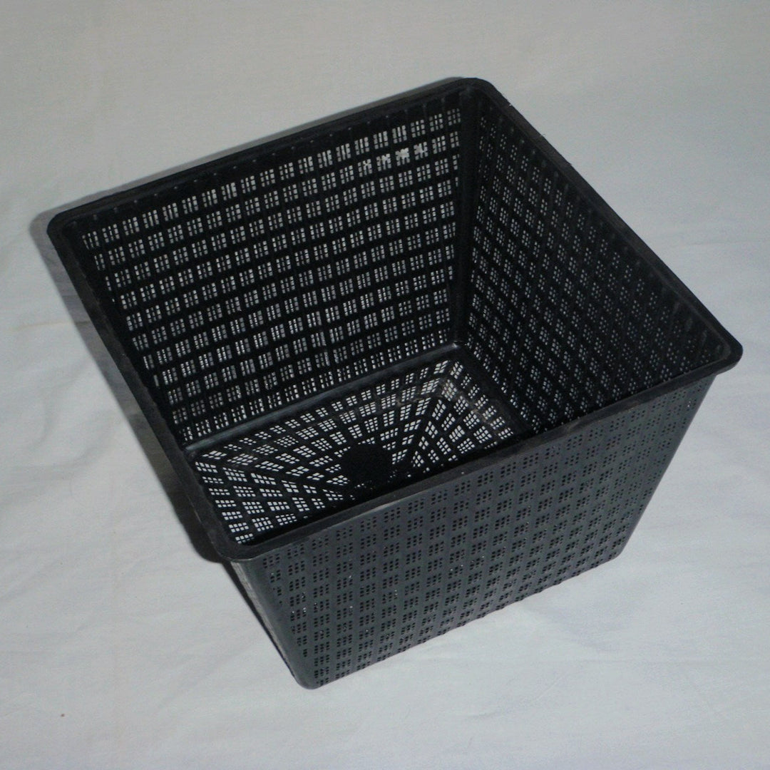 Aquatic Square Pot 40cm - Garden Wildlife