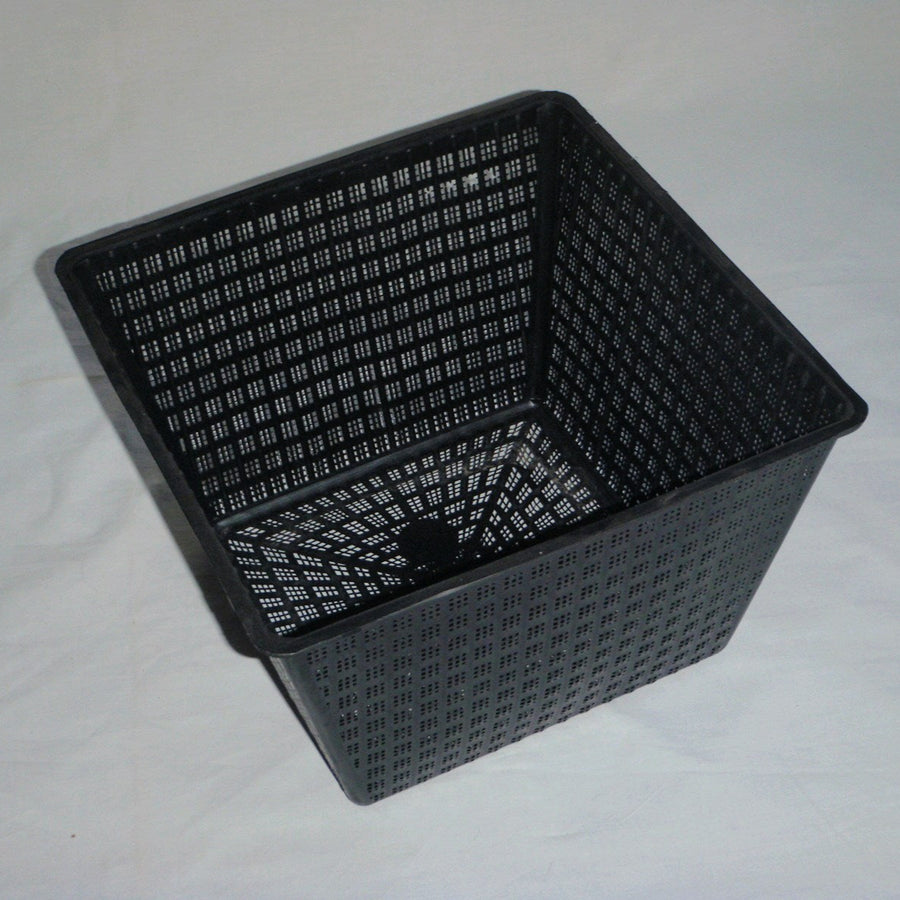 Aquatic Square Pot 40cm - Garden Wildlife