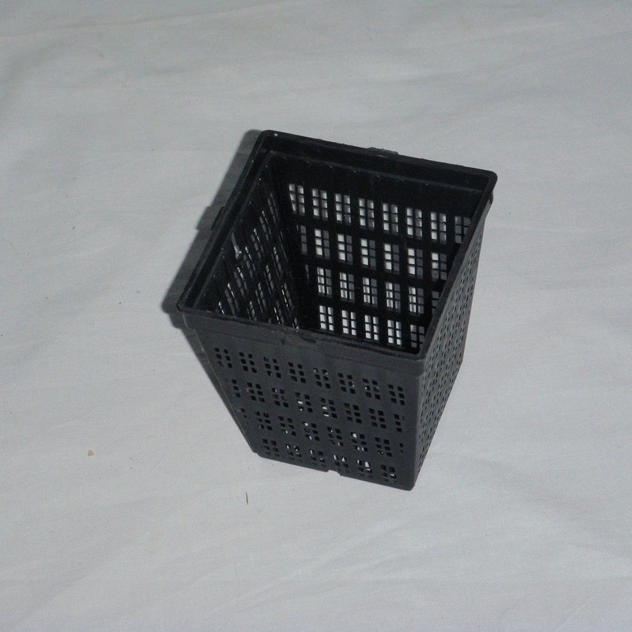 Aquatic Square Pot 9cm - Garden Wildlife
