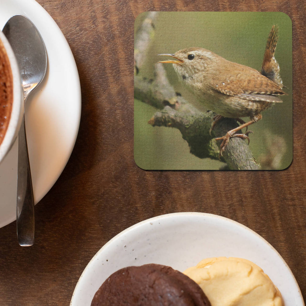 Wren Coaster