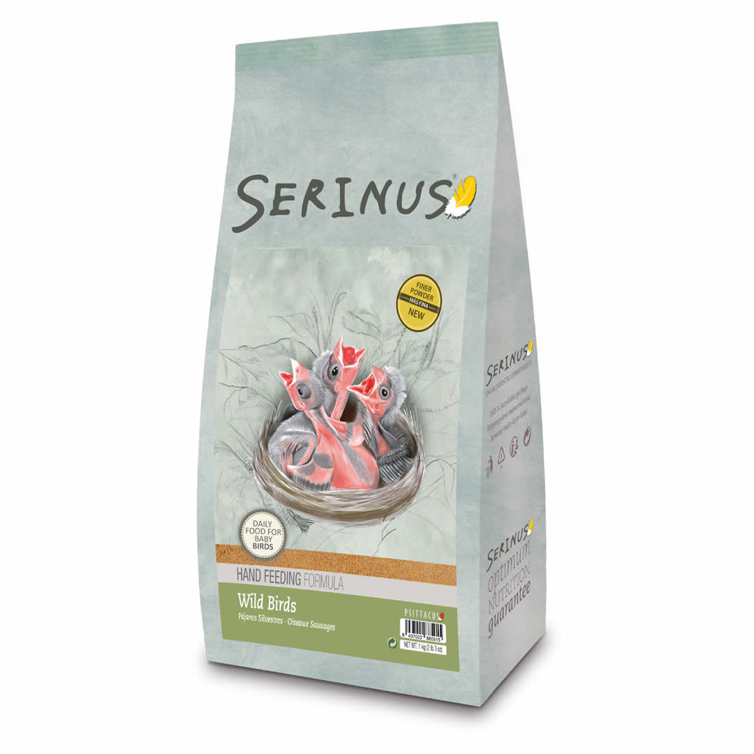Serinus Wild Birds Hand Feeding