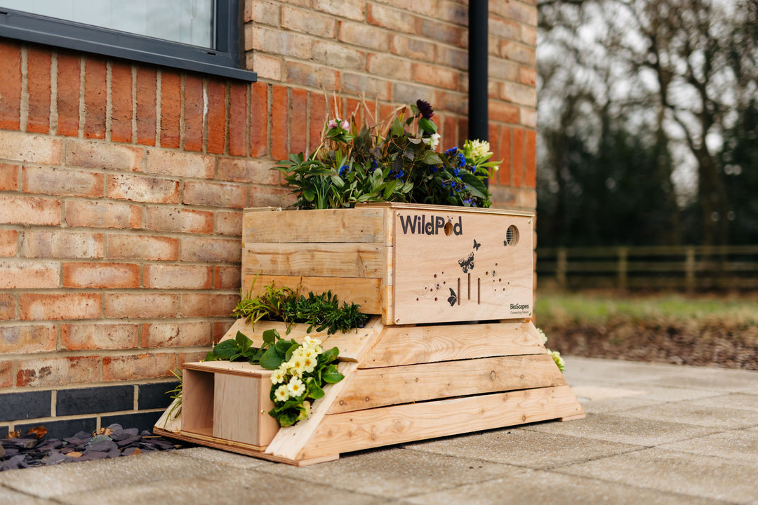 How to Set Up a BioScapes WildPod Planter for Wildlife