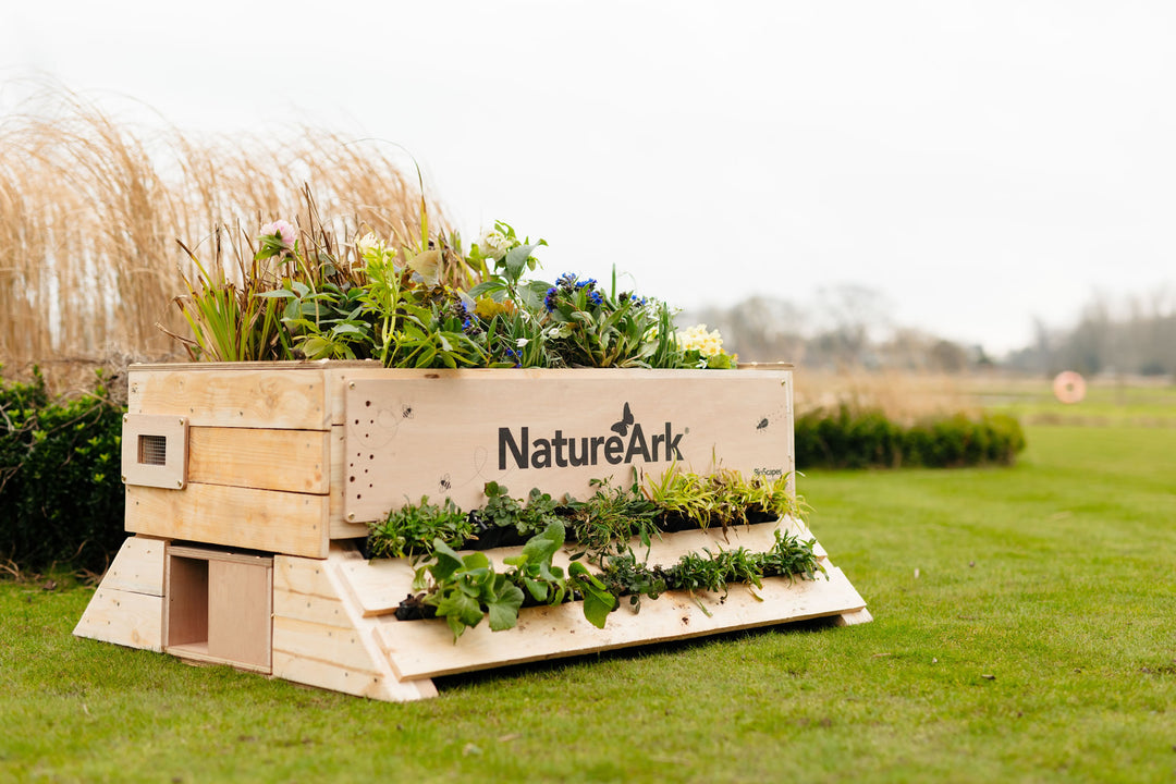 How to Set Up a BioScapes NatureArk Planter for Wildlife
