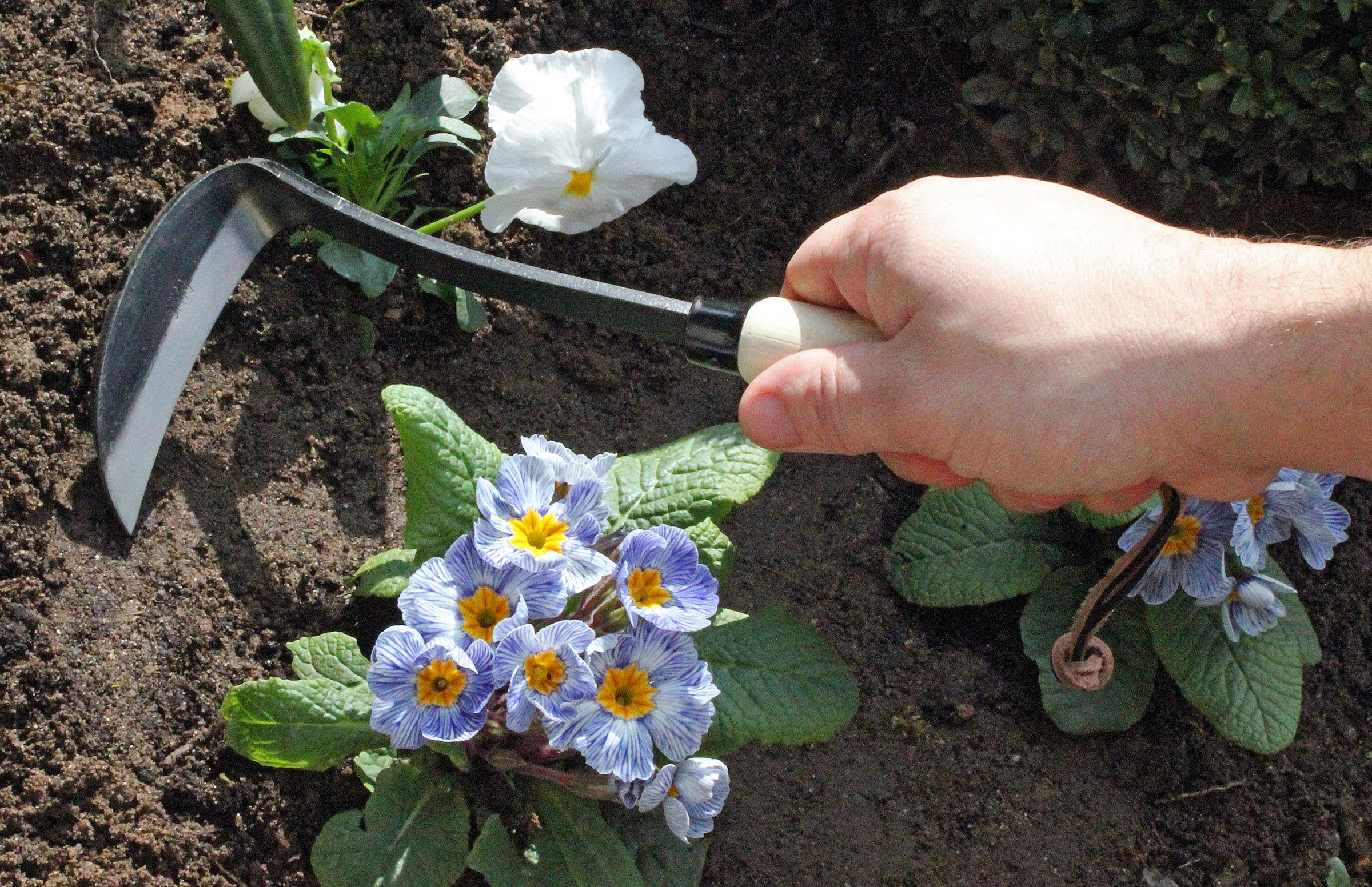 Cultivators