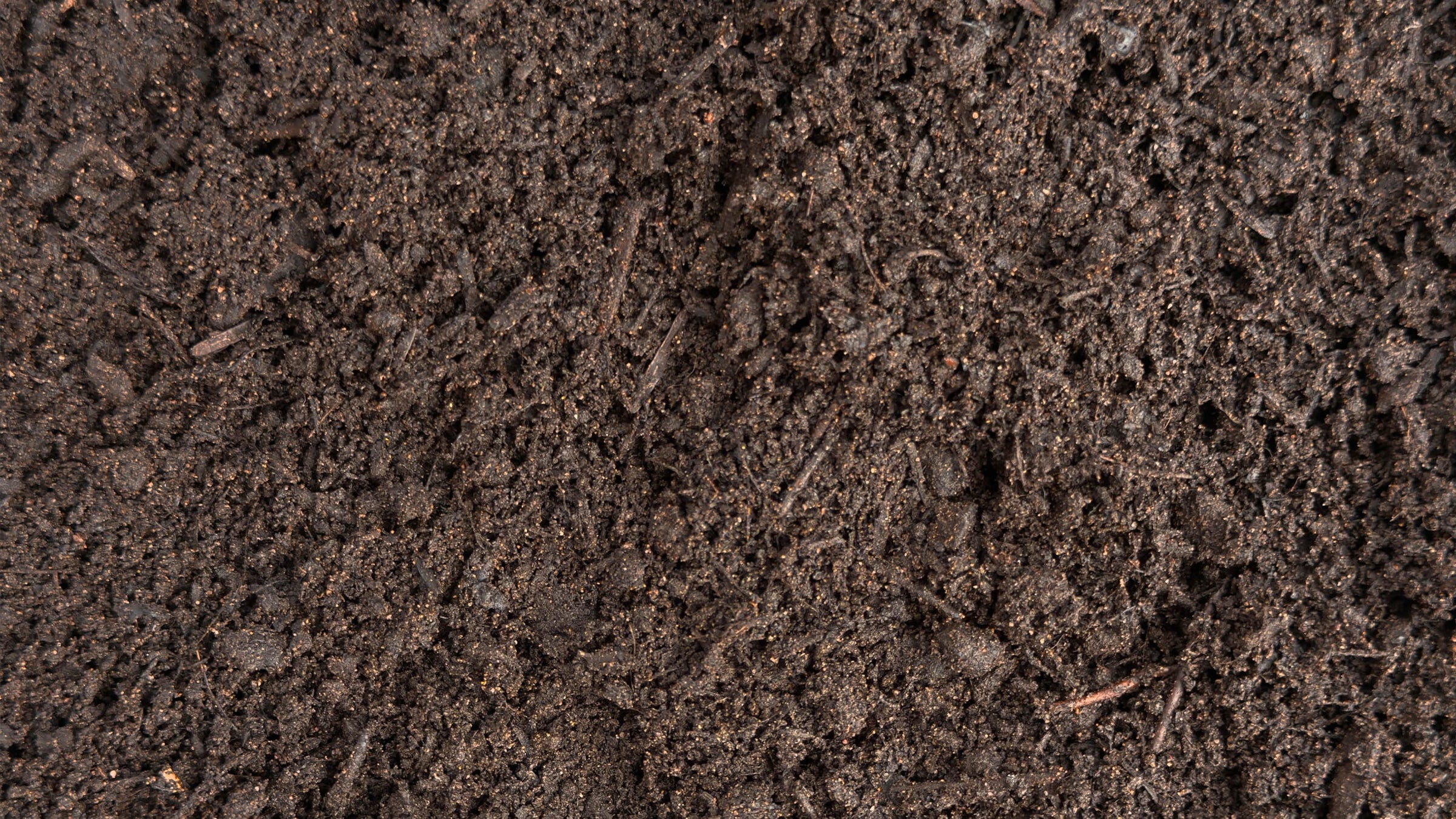 garden soil