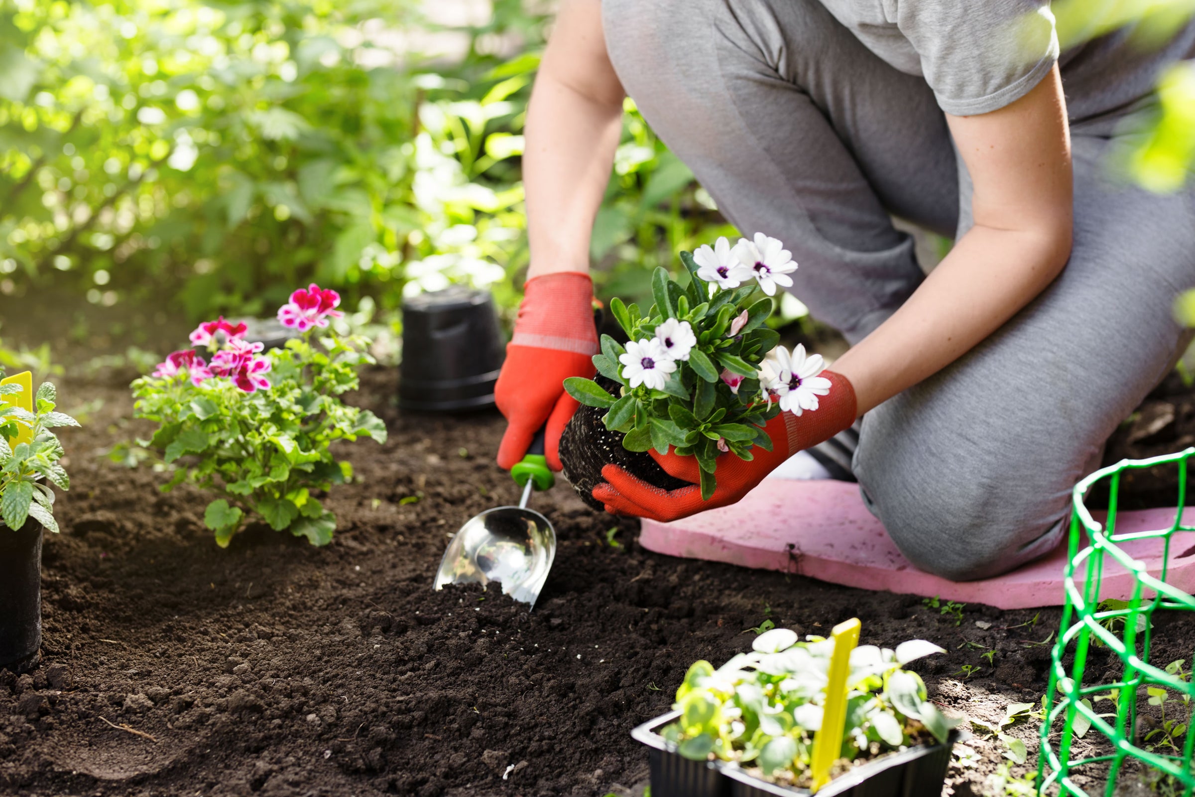 Garden Scoops