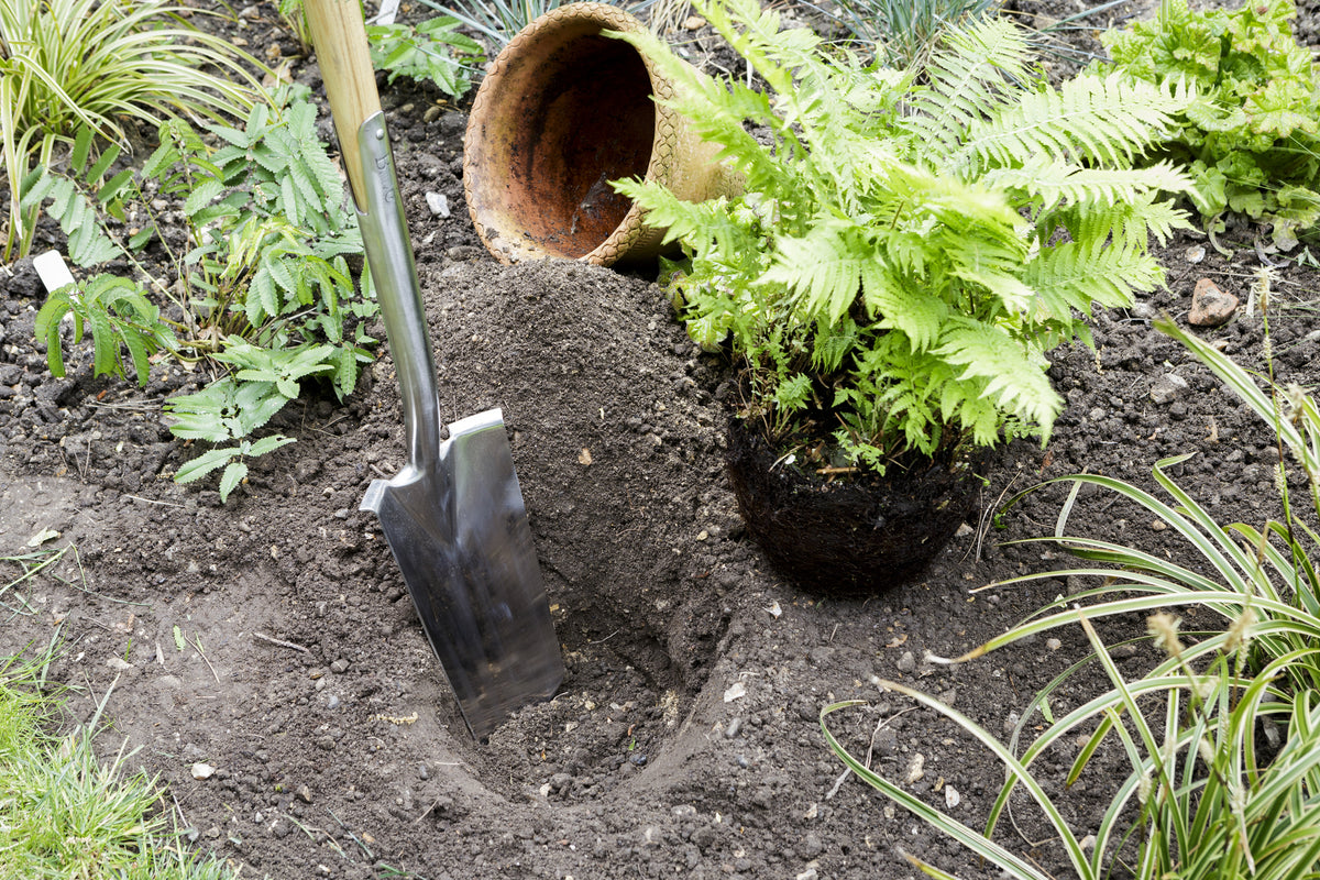 Garden Spades and Digging Tools - Garden Wildlife