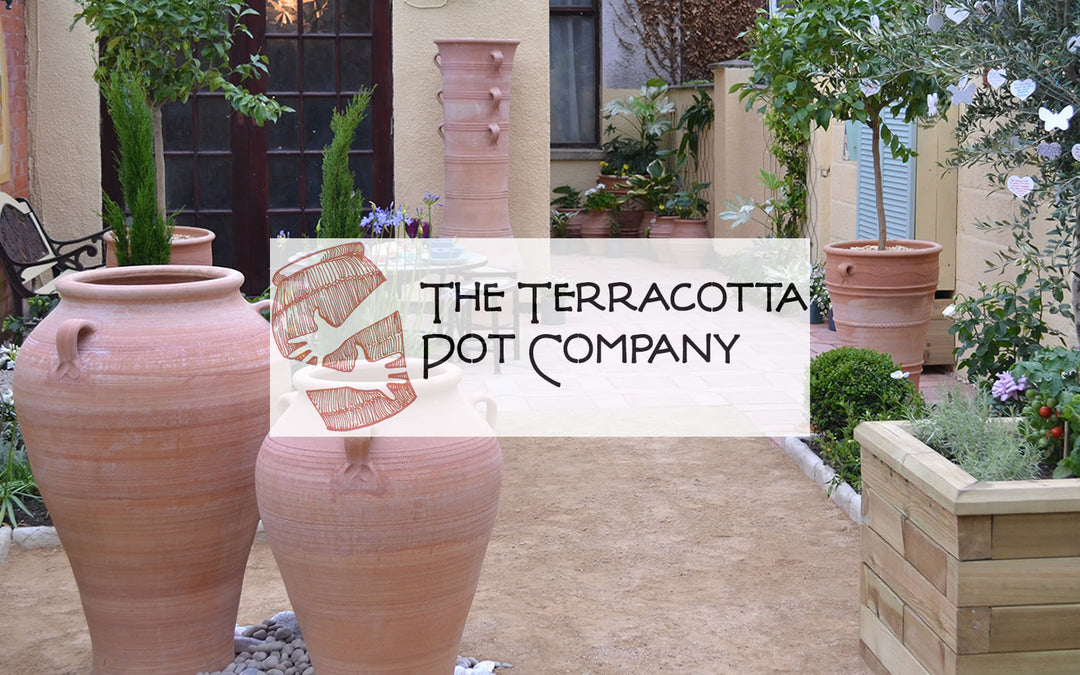 Terracotta Pot Company