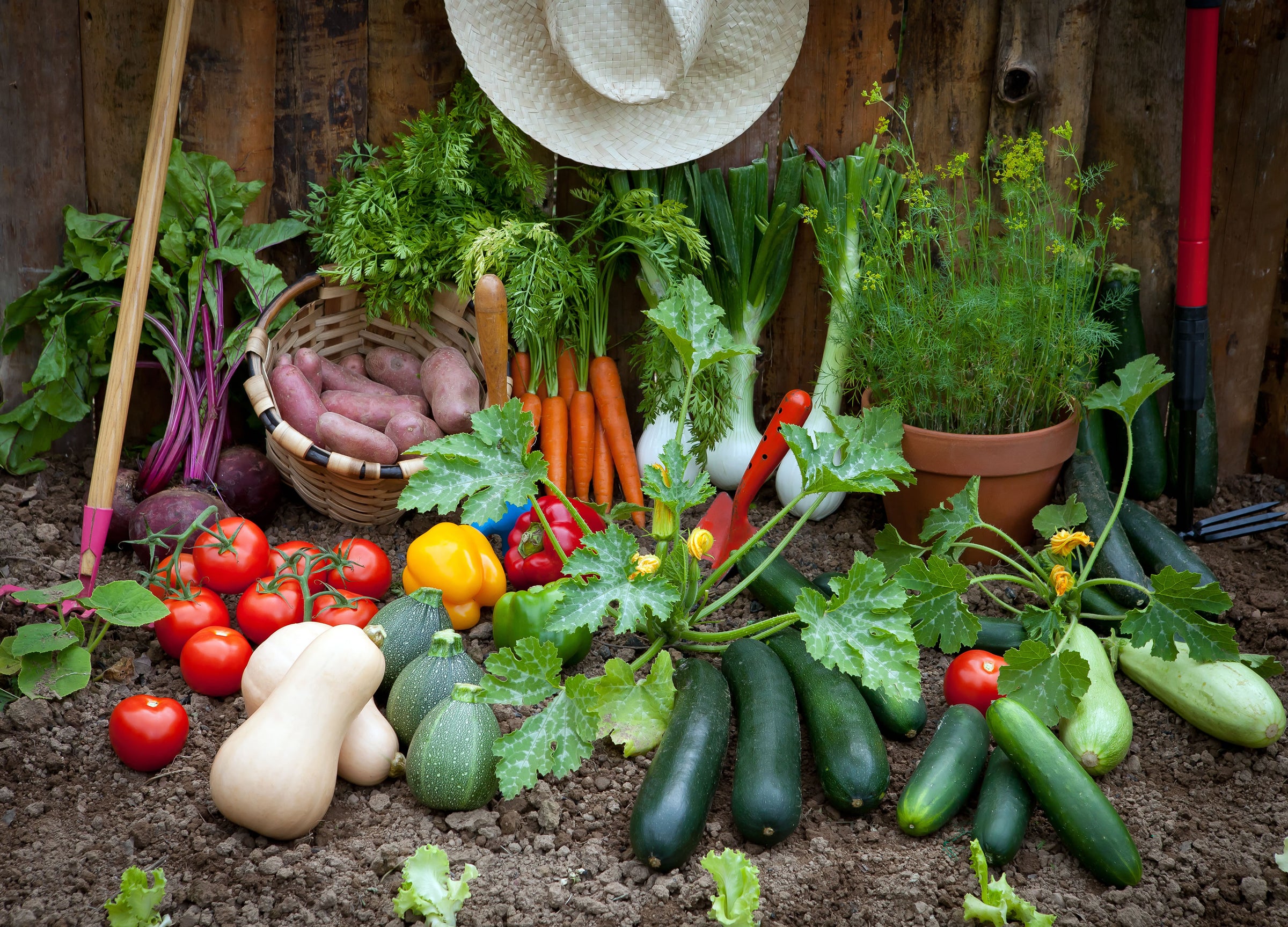 Garden Trugs