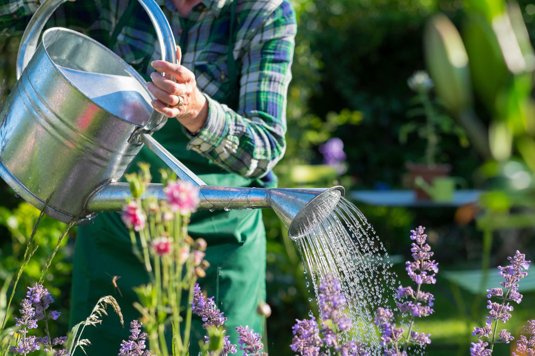 Watering Cans