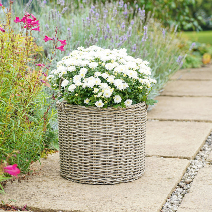 Ivyline Polyrattan Lined Planters 2 Set