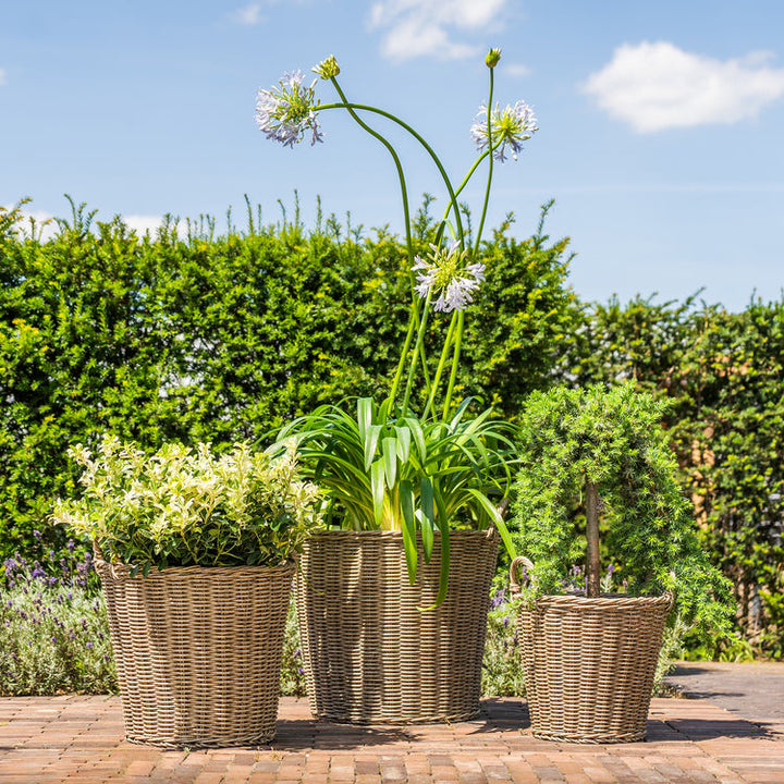 Ivyline Polyrattan Lined Planter