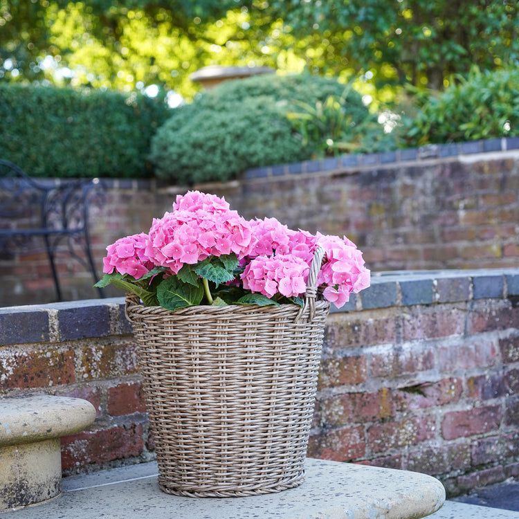 Ivyline Polyrattan Lined Planter