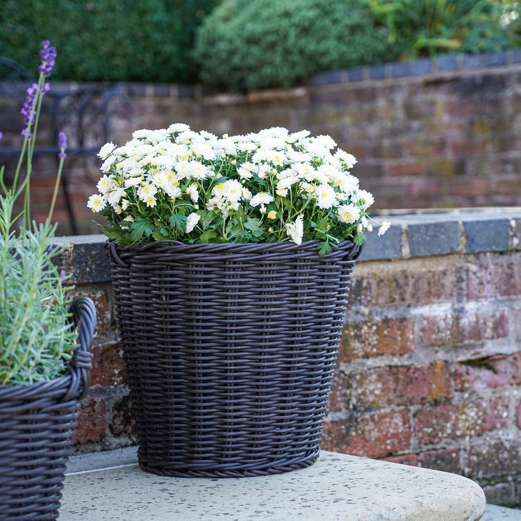 Ivyline Polyrattan Lined Planter