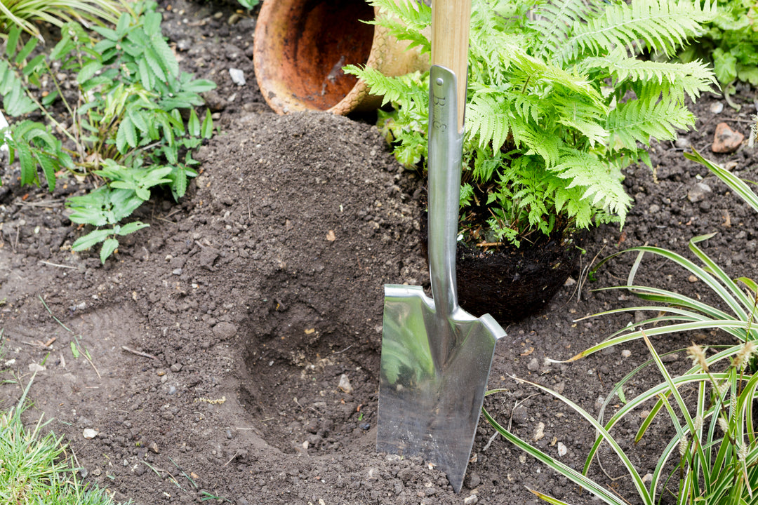 Burgon & Ball RHS Transplanting Spade